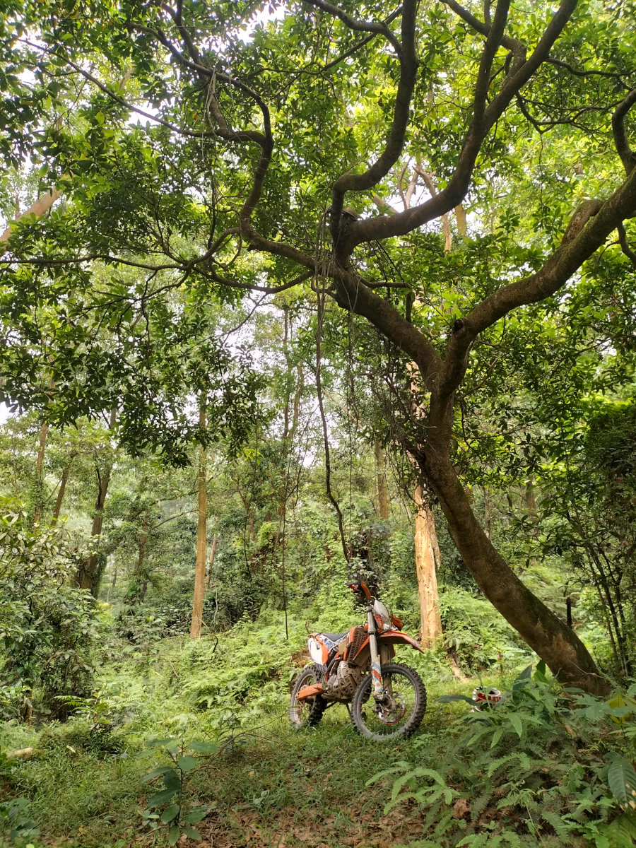 2-3 Day Soc Son Image 2